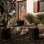 Szofi Porta