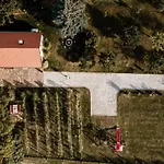 Szofi Porta Marcali