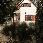 Szofi Porta *