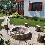 Szofi Porta *