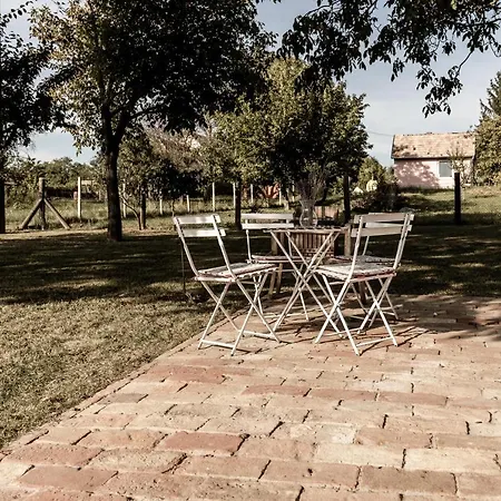 Szofi Porta Marcali