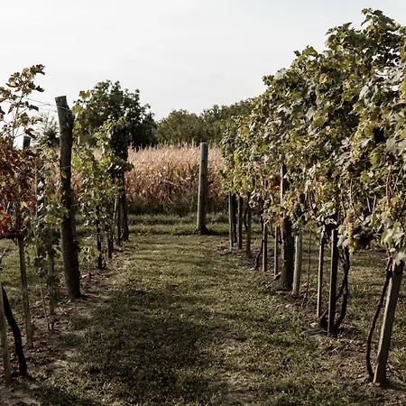 Szofi Porta Daire Marcali