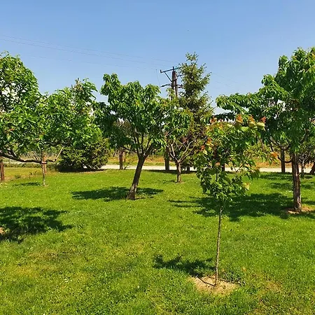 Apartamento Szofi Porta *