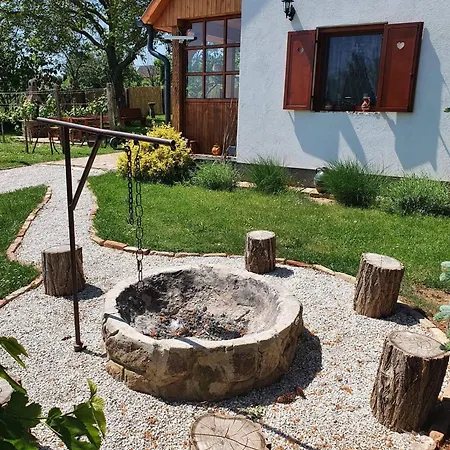 Szofi Porta *