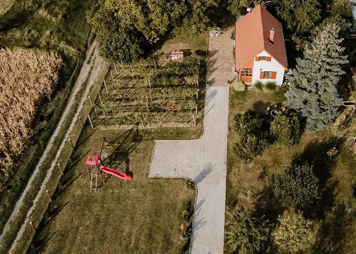 Szofi Porta *